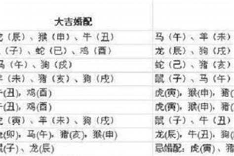 97年 生肖|1997年属什么生肖 1997年的属相是什么命